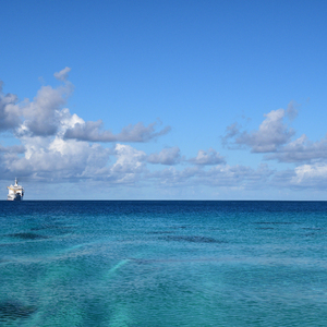 日韩做受❌❌❌高潮69国产老妇
